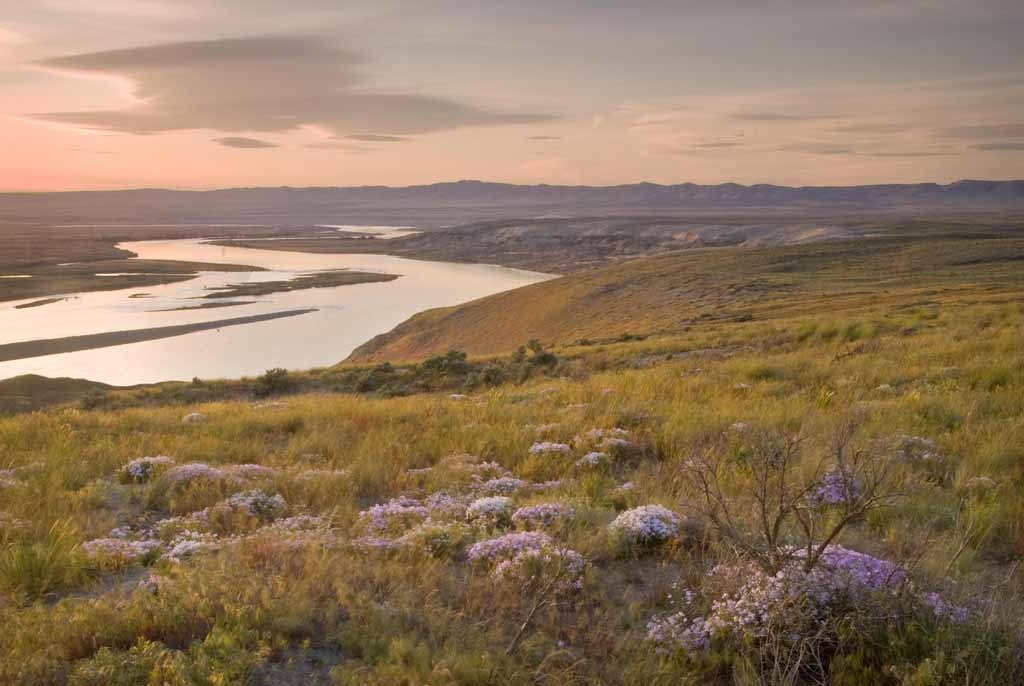 Saddle Mountain East ??? Washington Trails Association